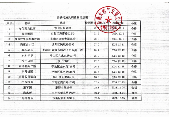 2024年12月《天然气加臭剂检测记录表》_00(1).png